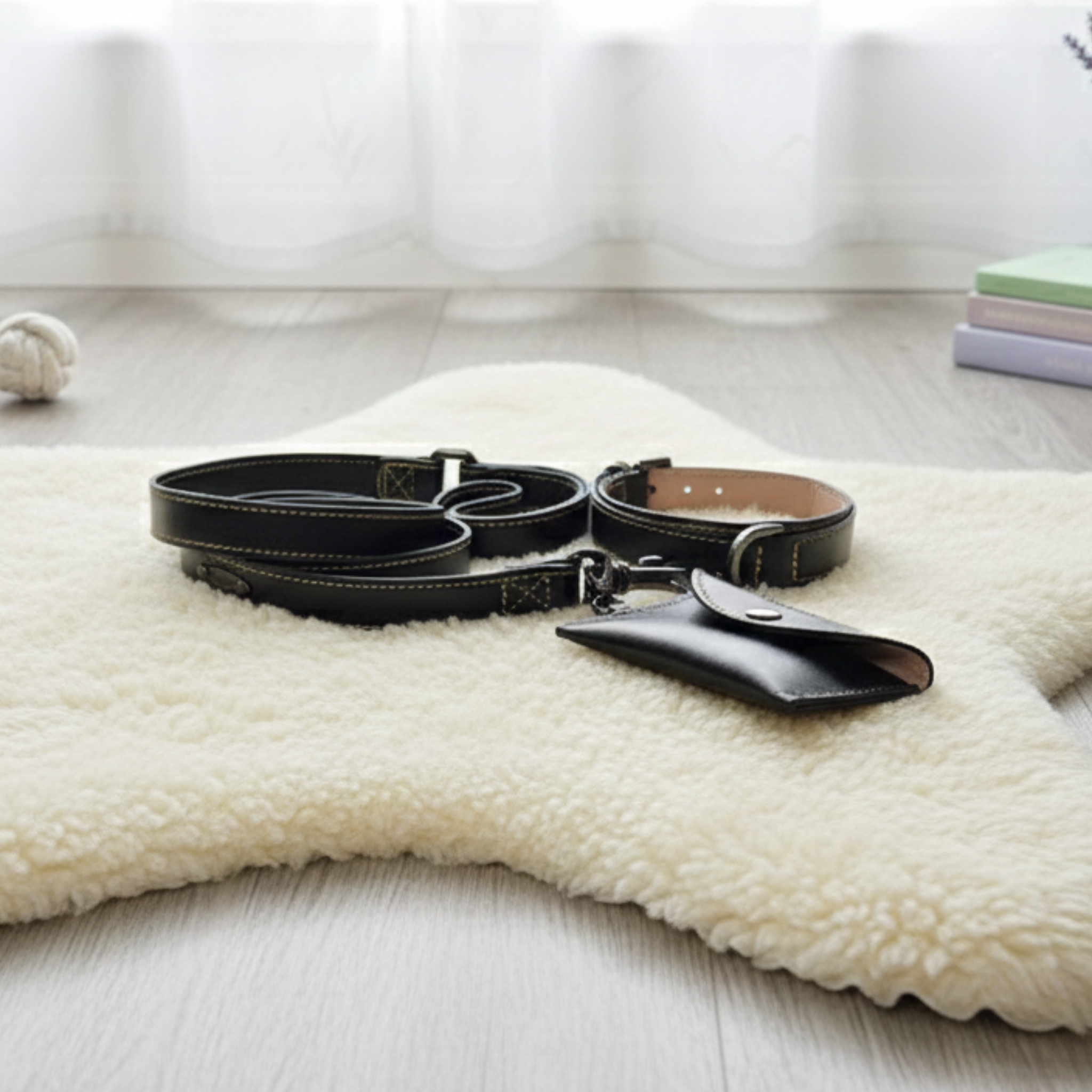 Set Collare e Guinzaglio in Pelle con Porta Sacchetti